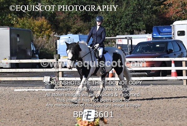 BPP_8601 - SHORT ARENA INTRO 3