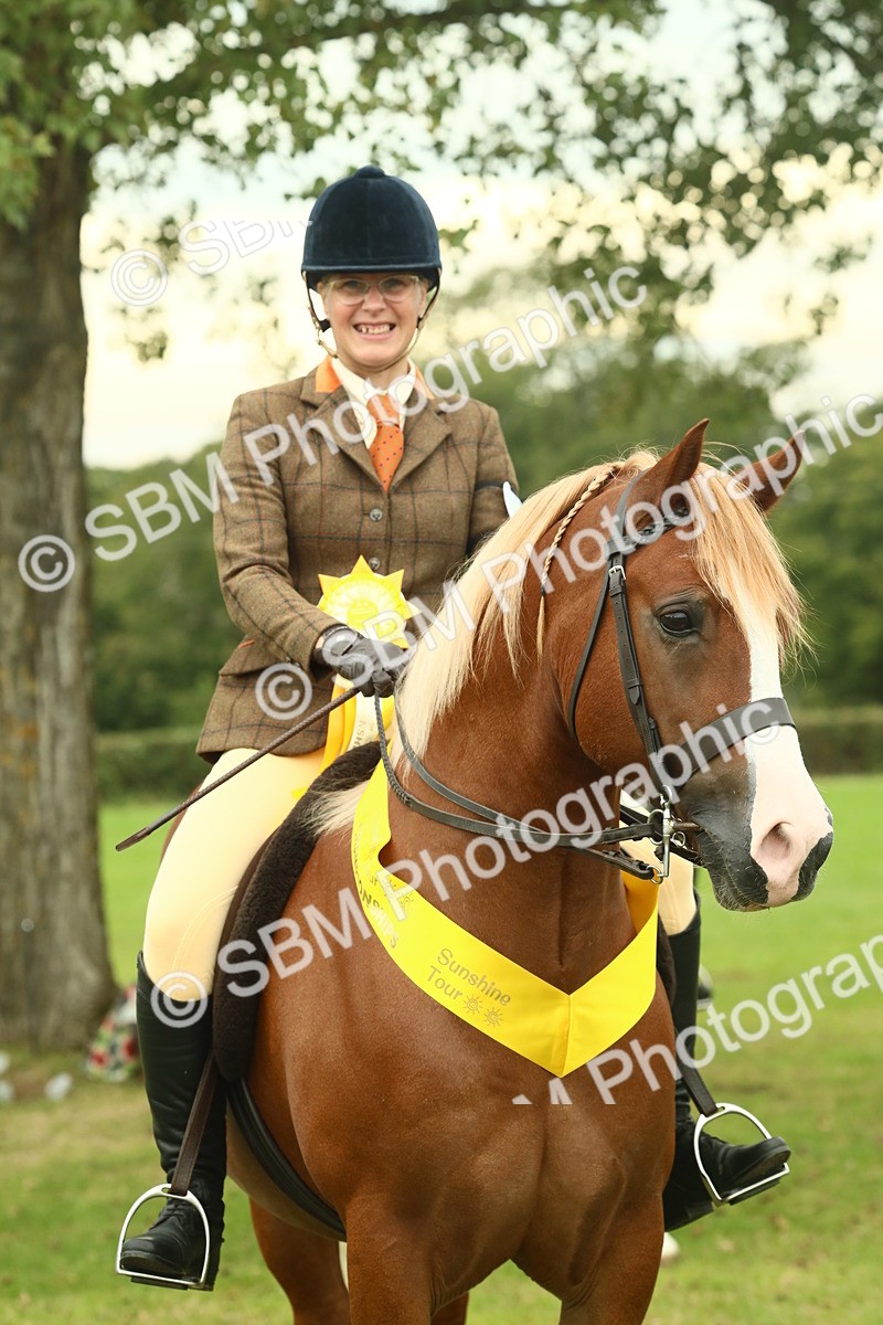 SBM_72304 - S60 - Mountain & Moorland Ridden Large Breeds