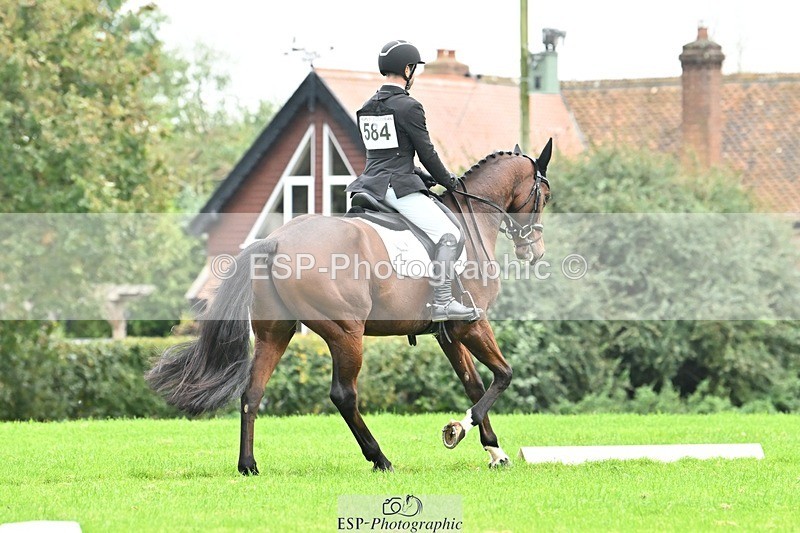 241024-144529-04358 - 584-Tommy.Greengard-I'M.ALL.IN