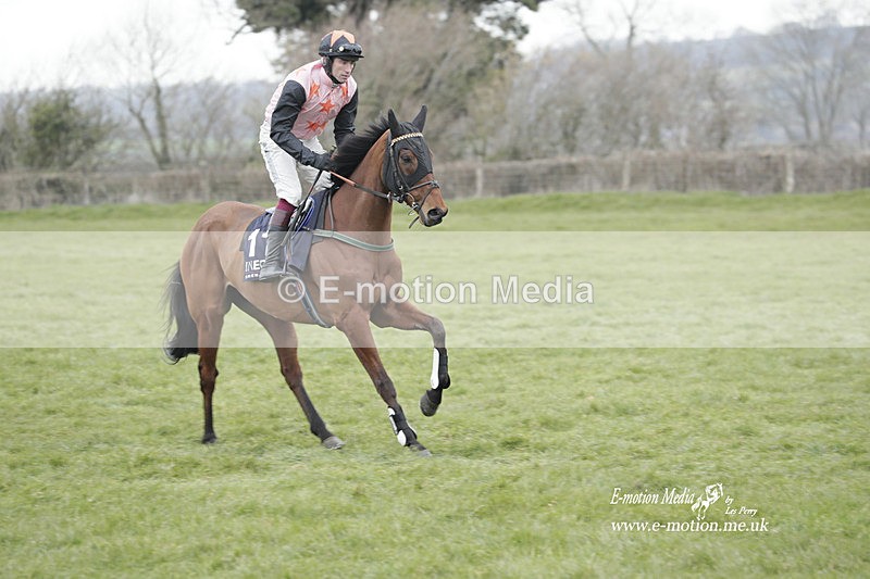 PtP 050323 822 - Blackmore & Sparkford Vale Hunt PtP - Somerset 05/03/23