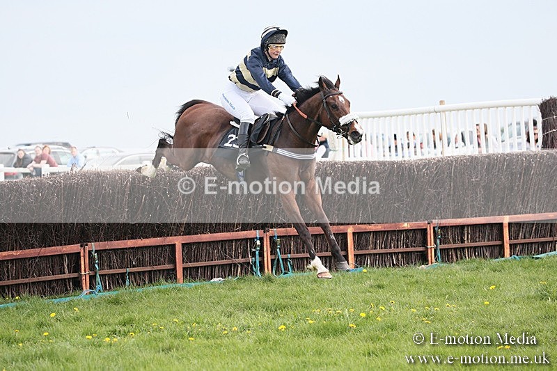 PtP 210418 187 - South & West Wilts Point-to-Point Larkhill 21/04/18
