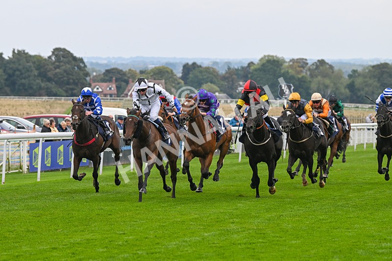 240924-Race 3-Nala Star-6087 - Race 3