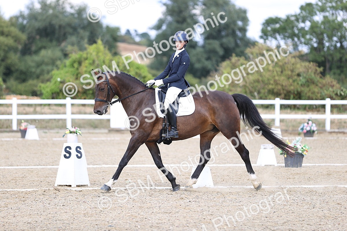 SBM_015280 - Class 5 - E5 Bronze 14.42.15.54
