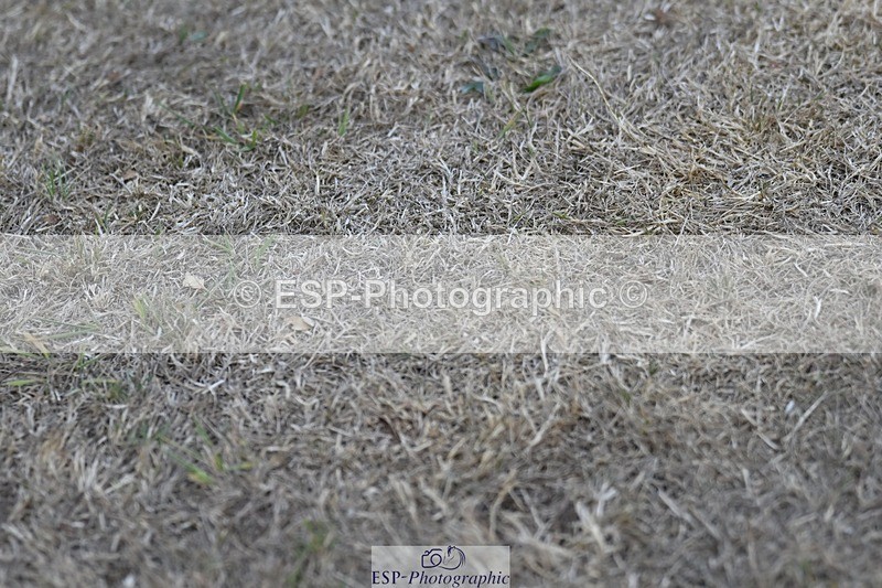 250823A-190223-34670 - All Sat Presentations