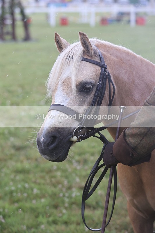 JPP_0381 - Class 14: Cornish Combination Leading Rein