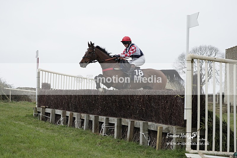 PtP 040323 459 - Duke of Beauforts Hunt Point-to-Point Didmarton 04/03/23