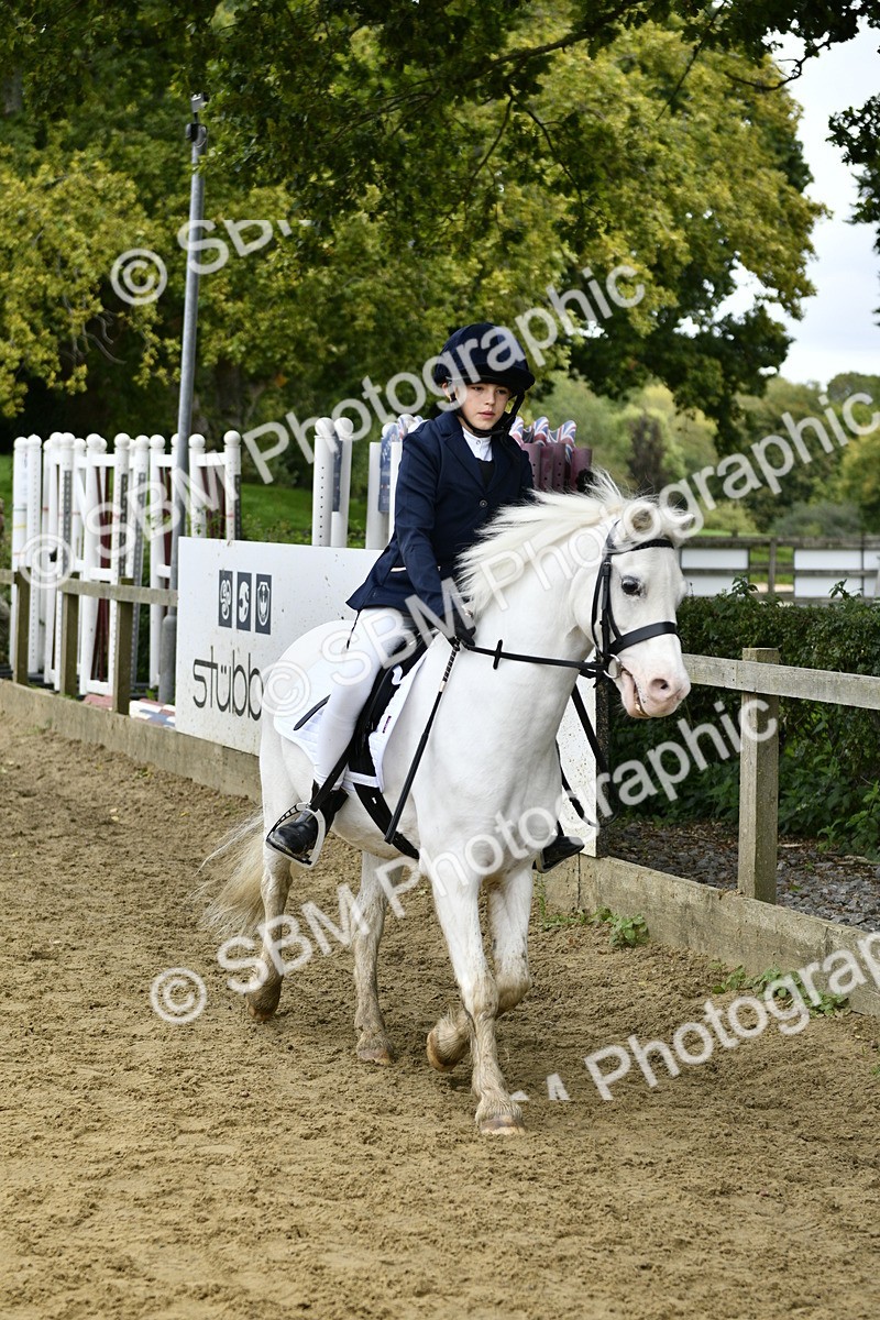 SBM_65442 - J2a mini Tour Junior Pony 30cm Championship