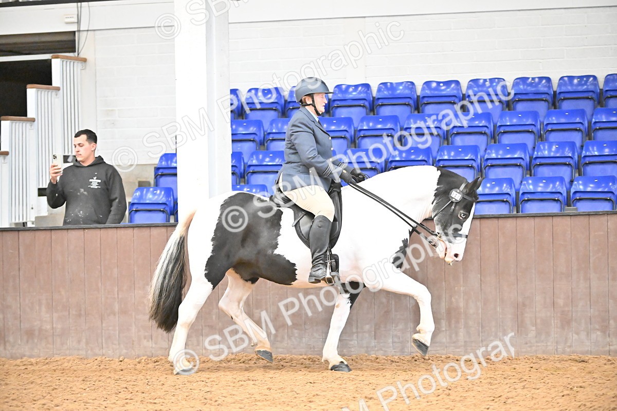 SBM_002626 - Class 28,29 - Ridden Irish & Coloured