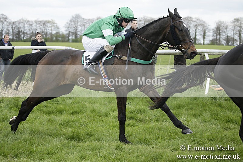 PtP 170417 18 - Old Berks Point-to-Point Lockinge 17/04/17