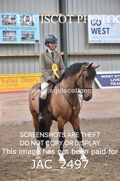 JAC_2497 - CLASS 3 Intermediate Working Hunter