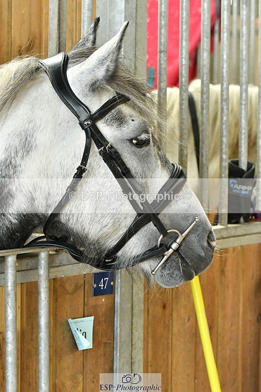 230804A-095121-01522 - Stable Shots