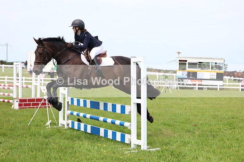 3E7A1578 - Class 13: Senior British Novice/90cm open