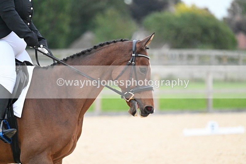 WJ7_2463 - Class 2 & Champs