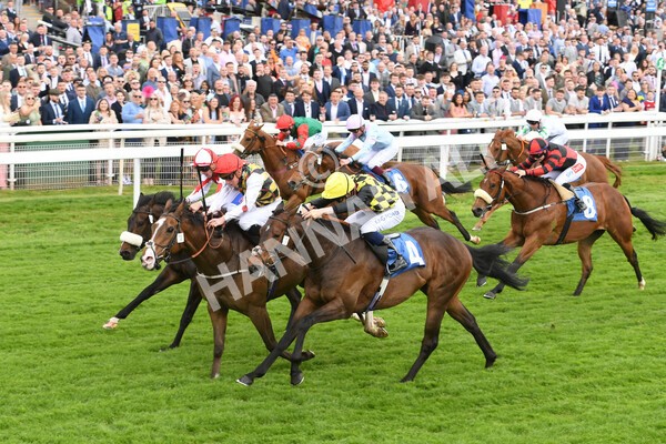 yr21052022r1-17 - Race 1: 1:40pm William Hill Play Responsibly Stakes