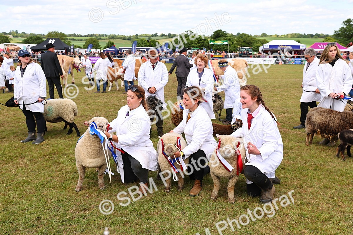 SBM_16949 - Grand Parade
