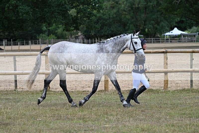 WJ7_8716 - Class 4a Prettiest Mare 14.2hh and over