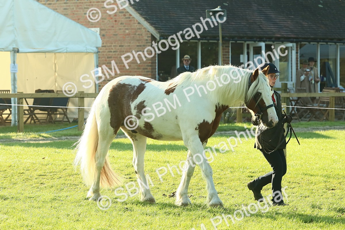 SBM_57422 - S37 - Starters In Hand Showing