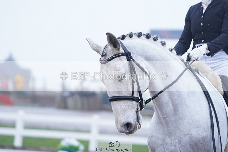 250215-111316-03441 - 154-Ali.Dane-Lidador