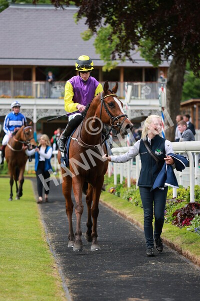 yr21052022r3-21 - Race 3: 3:30pm William Hill Best Odds Guaranteed Stakes