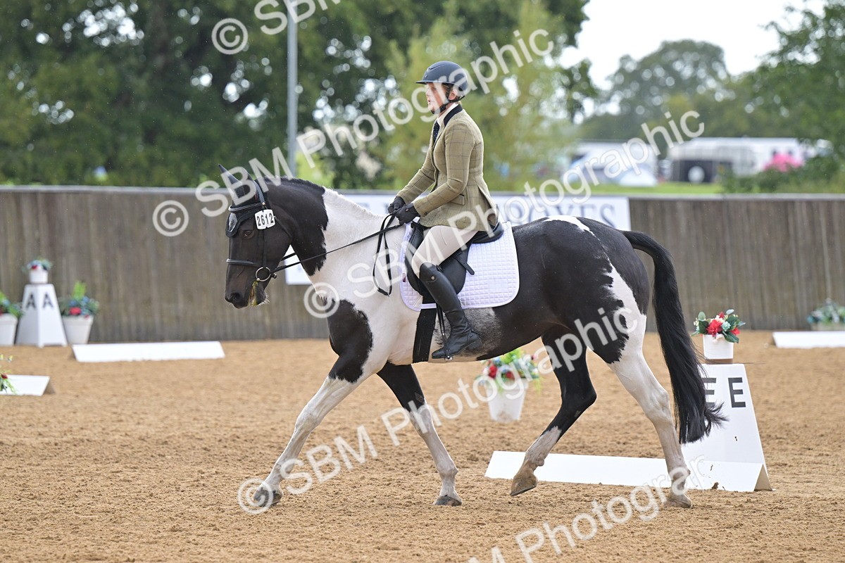 SBM_02253 - D2 - Small Tour Championship Intro 2