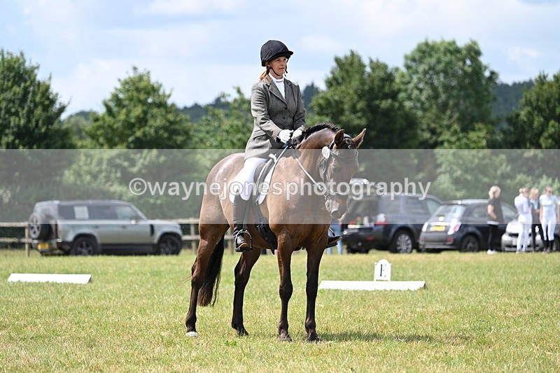 WJ7_4885 - Time 11:22 to 11:51