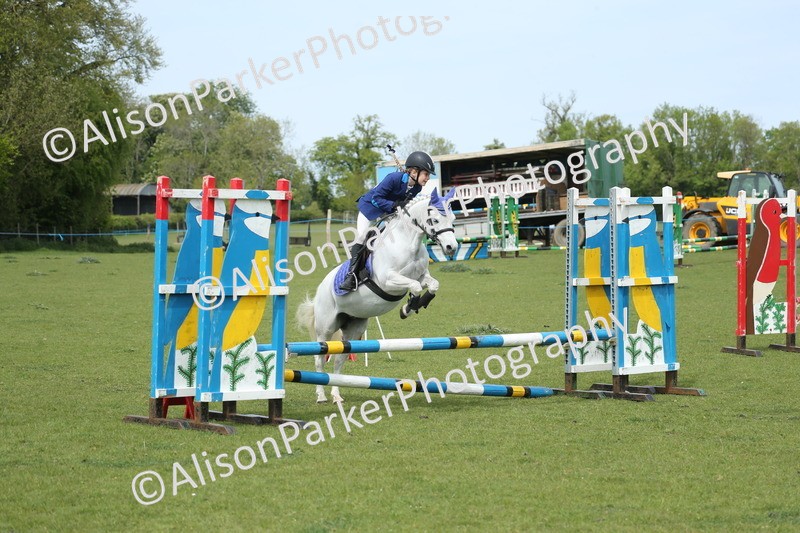20260426-2006 - Class 15 - Absolute Novice 70cm