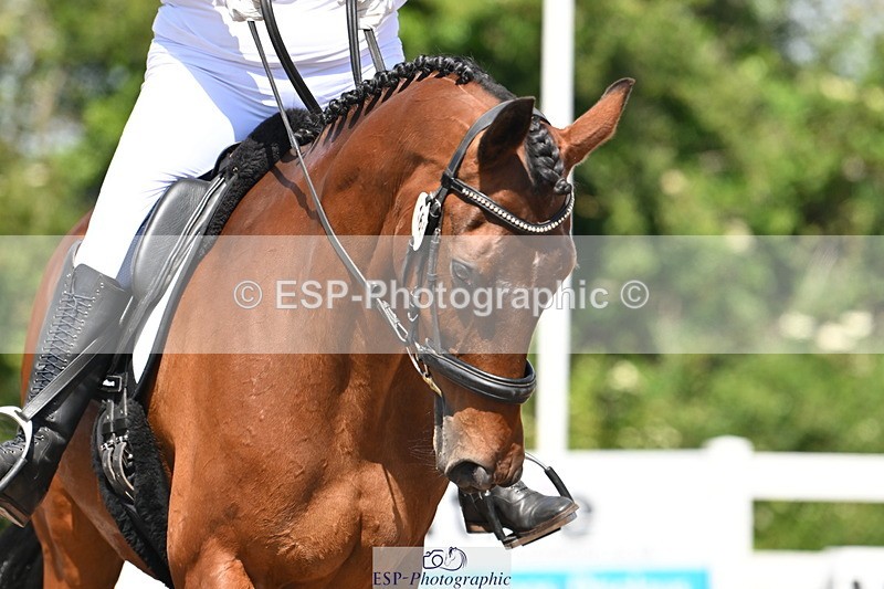 240621A-105043-01449 - Cls 4 BD Novice 22