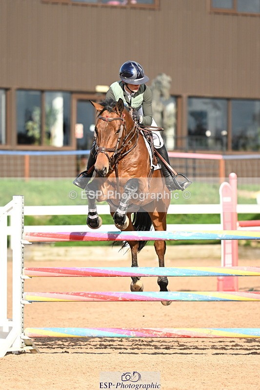 241023A-151338-01135 - Cls 5 Foxhunter and 1.20m Open