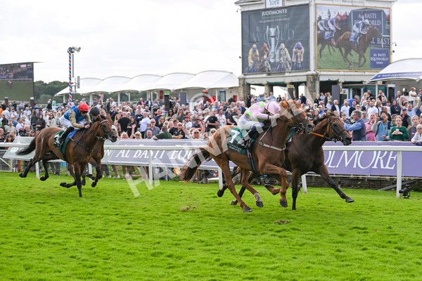 230824-Race 2-Vauban-8945 - Race 2 2.25pm Weatherbys Hamilton Lonsdale Cup Stakes