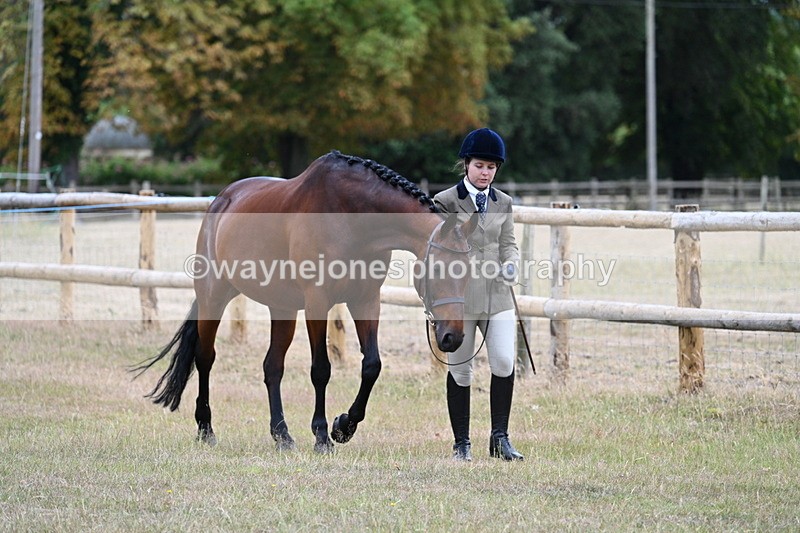 WJ7_8950 - Class 4a Prettiest Mare 14.2hh and over