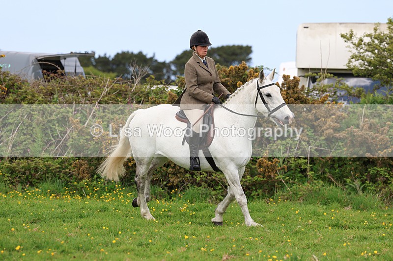 3E7A1259 - Class 7: Ridden Hunter Type