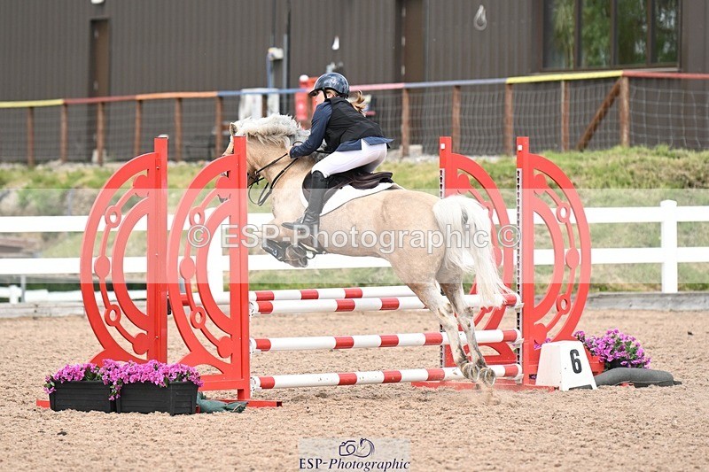 250504-141949-03568 - Cls 23 Stepping Stones