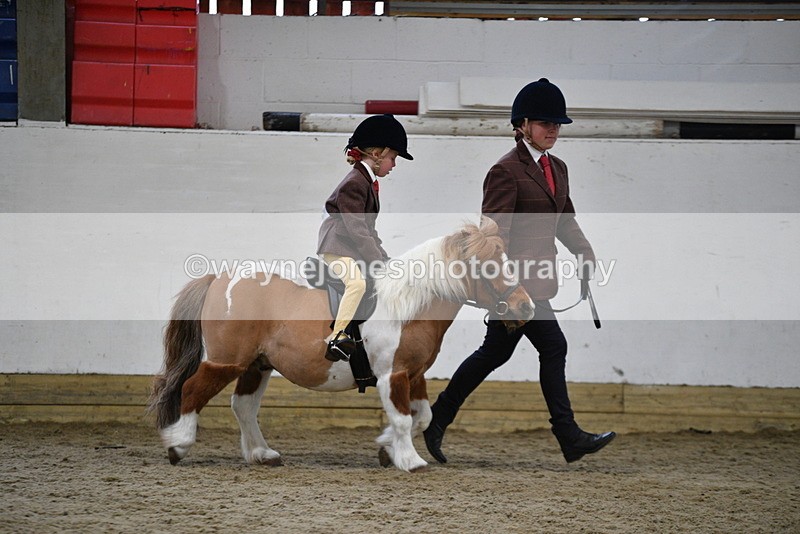 WJ5_6774 - Class 10 Childs Pony