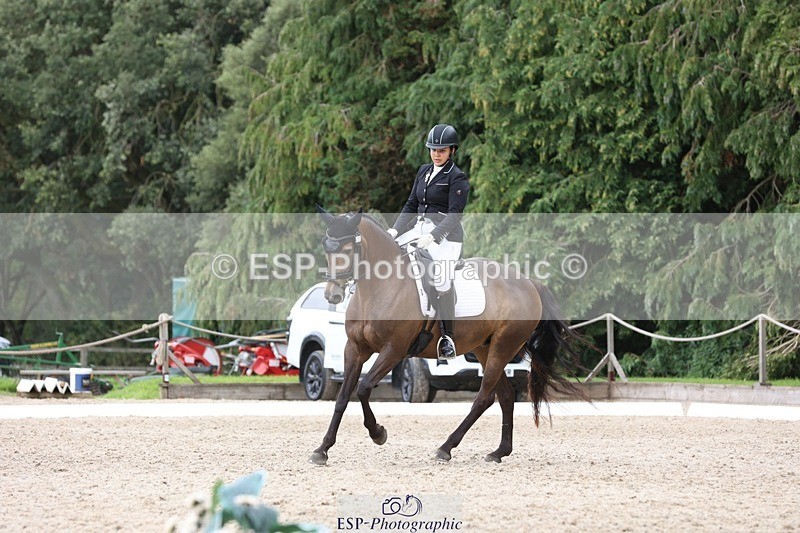 230812-143644-04453 - Cls 5 Novice Bronze 13.40 to 14.45 break