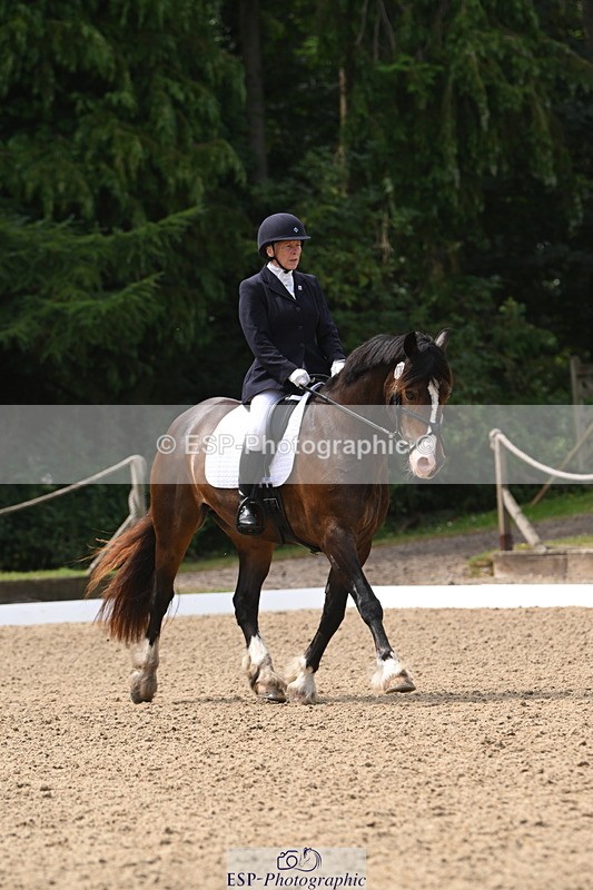 250720A-115626-10071 - 079-Amanda.Williams-Llanarth.Westminster