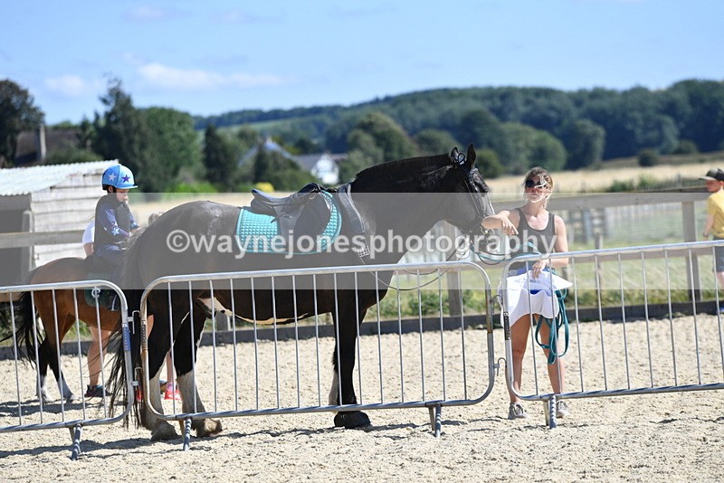 WJ5_5011 - Poles on the Floor