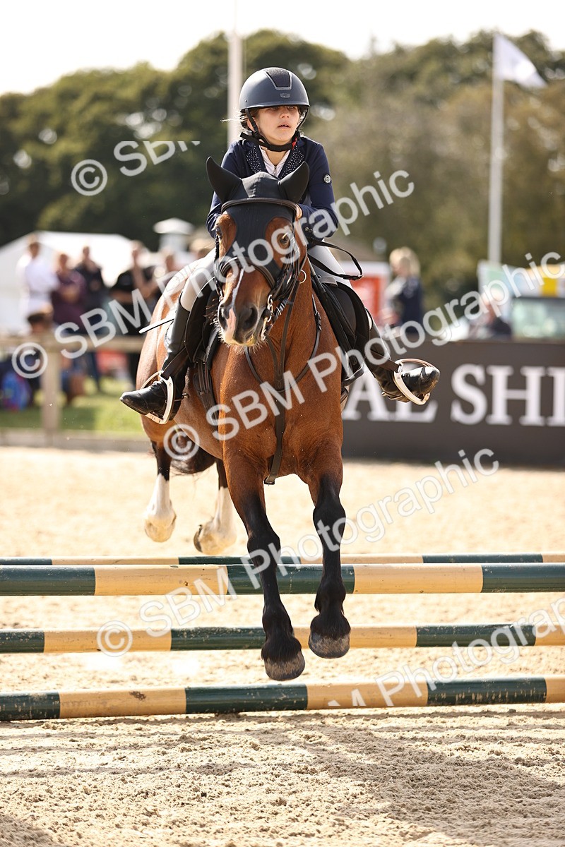 SBM_69509 - J13 - Junior Pony 60cm Championship