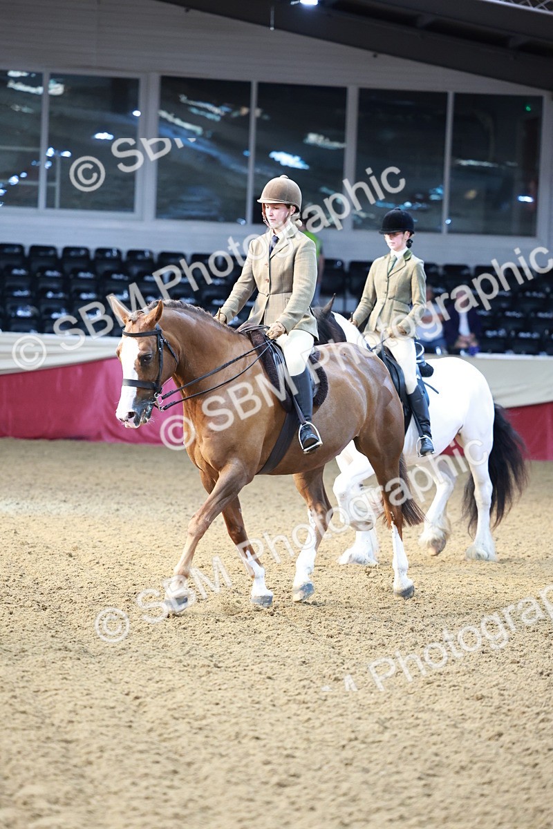 SBM_11837 - Class 102 - Equitation (Best Rider) Adult