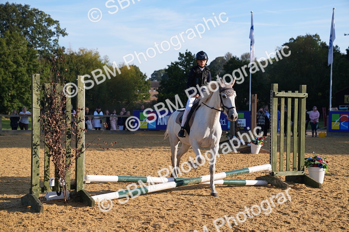 SBM_59008 - J63 - Minis Clear Round 30cm 40cm