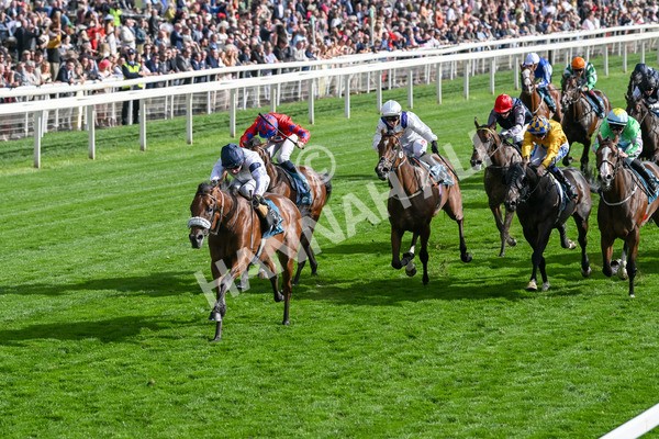 210825-Race 6-Stellar Sunrise-5188 - Race 6 4.45pm Mews Hotel Ossett EBF Stallions Nursery Handicap