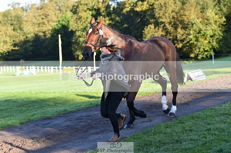 231022-090342-21536 - 627-UNNAMED.(815881)-Pollyanne.Adams-TrotUp+SJ