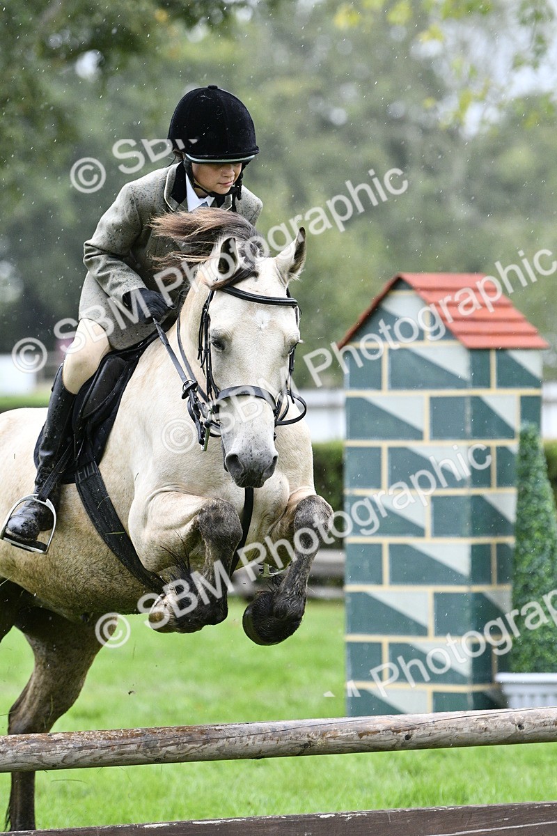 SBM_42302 - S32 - Mountain & Moorland Working Hunter Pony