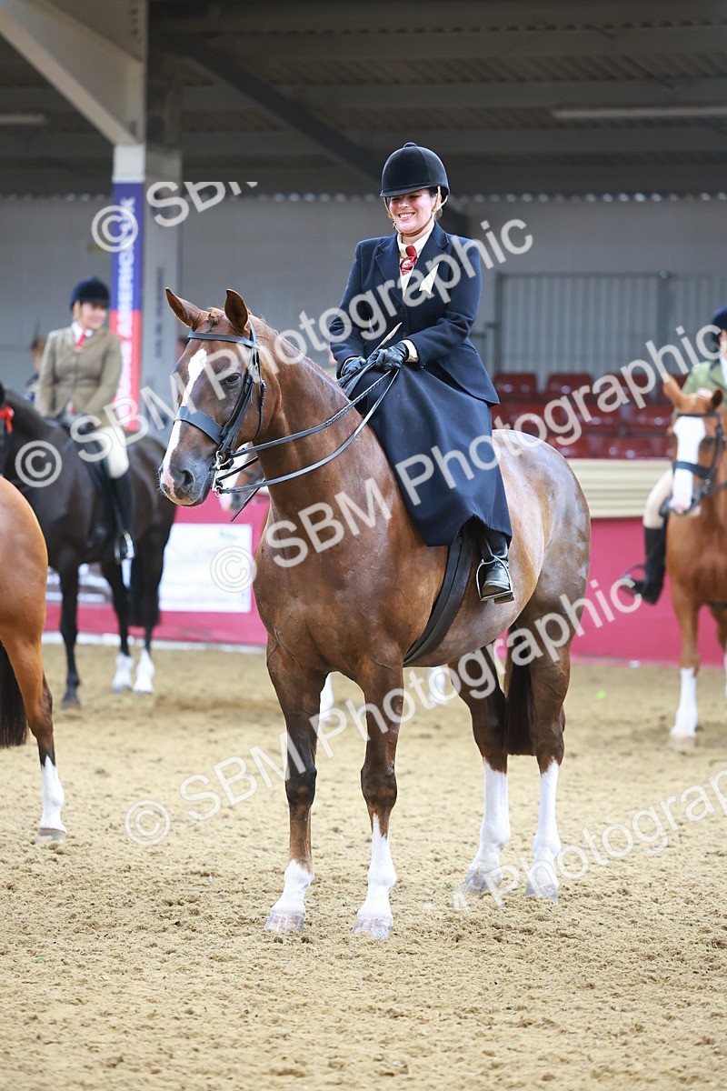 SBM_12658 - Class 103 - HOYS Veteran Qualifier - Ridden Pre Vet