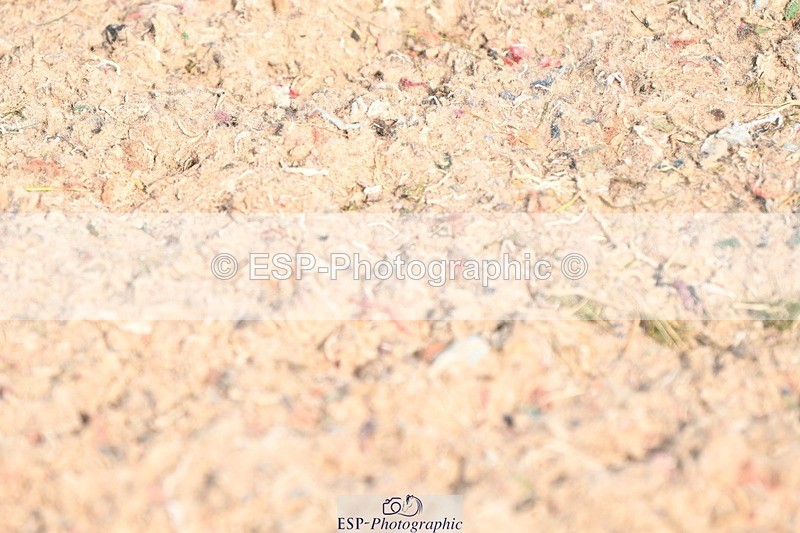 250309-133351-04737 - Cls 12-14 Pony 1.15, 1.20m and 1.30m