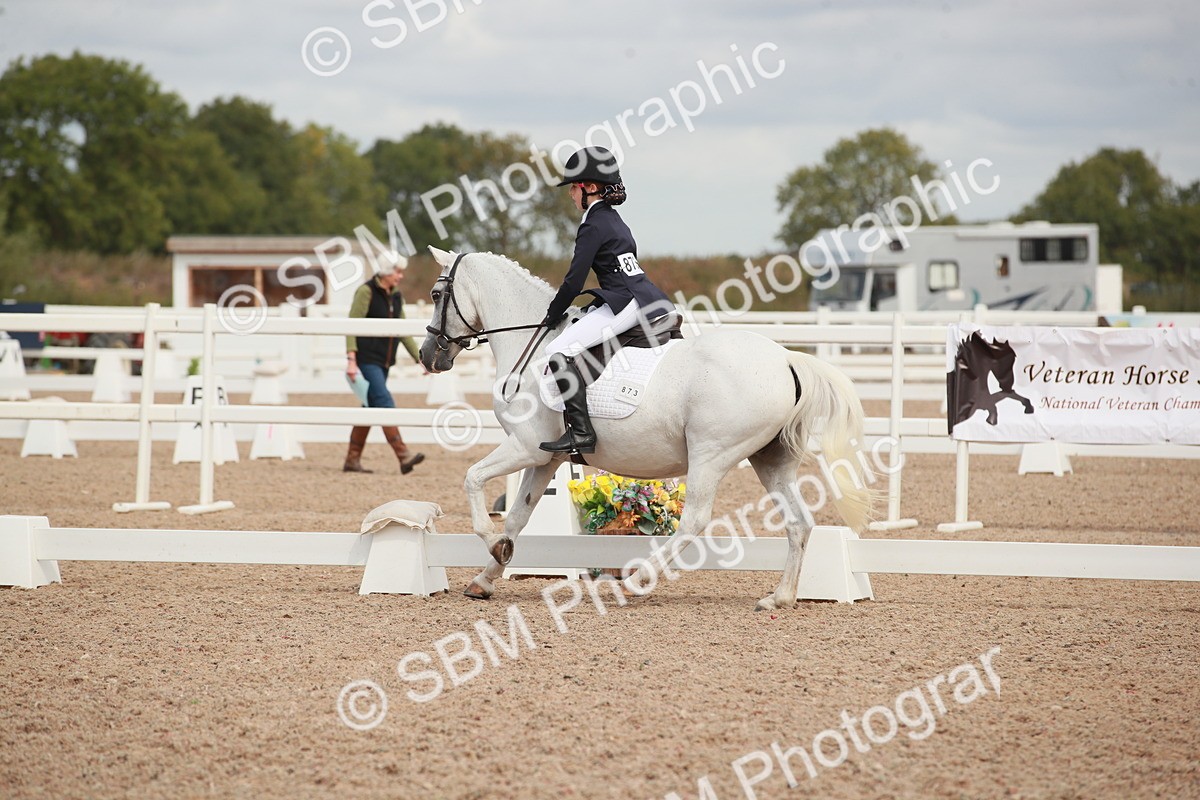 SBM_03980 - Class 31 - Prelim 1