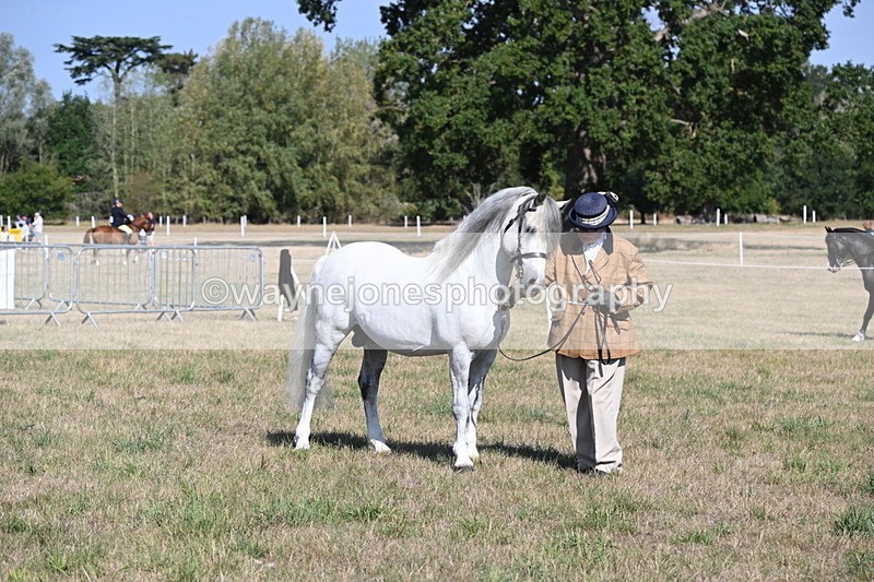 WJ6_4257 - Class 16 Condition & Turn Out