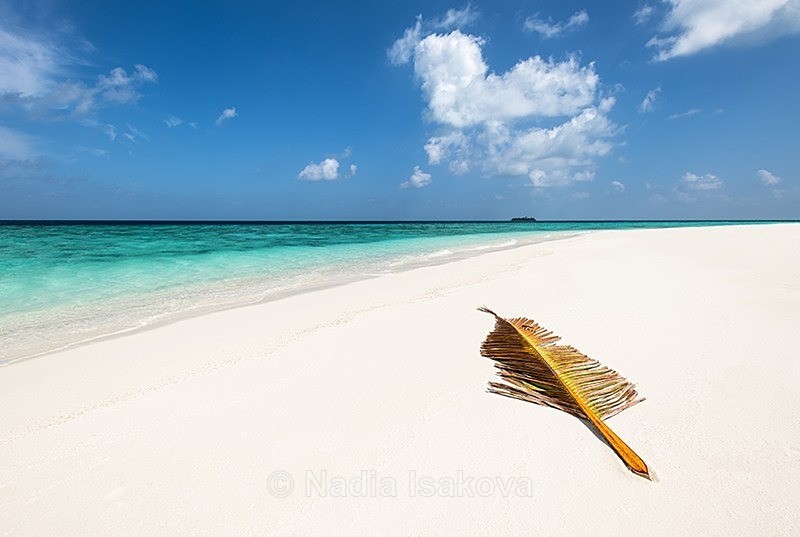  - Maldives