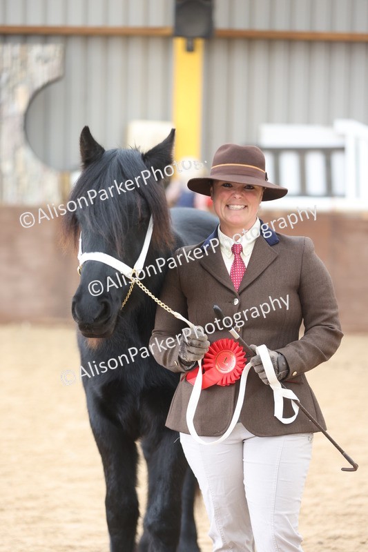 20251109-0859 - Class 25 - Yearling, Colt, Filly or Gelding