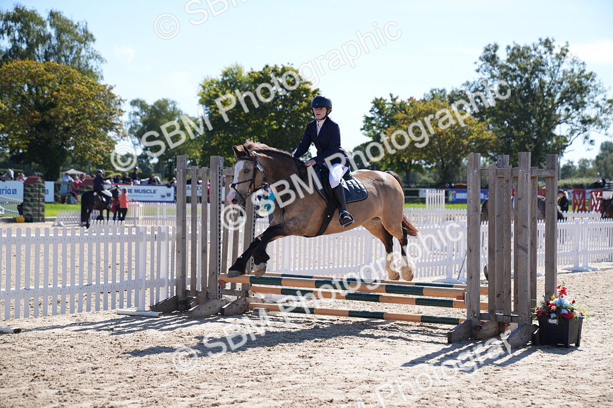 SBM_19549 - J57 - Clear Round 50cm