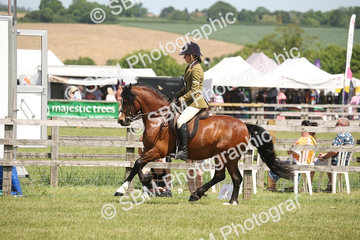 SBM_06961 - Class 26-30 - Mountain and Moorland Ridden